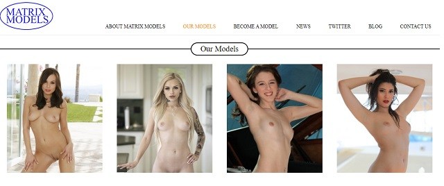 find work in the adult industry matrix models