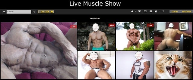 The Best Gay Cam Sites in 2020 - live muscle show