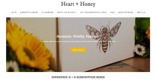 Best Sex Toy Subscription Boxes - heart and honey