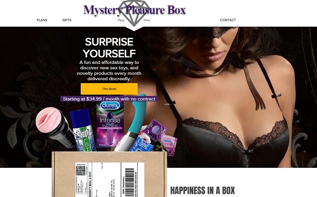 Best Sex Toy Subscription Boxes - mystery pleasure box