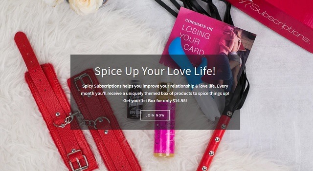 Best Sex Toy Subscription Boxes - spicy subscriptions