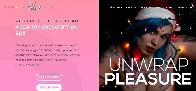 Best Sex Toy Subscription Boxes - the big oh box