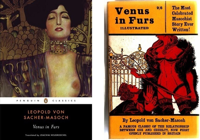 best bdsm fiction books venus in furs
