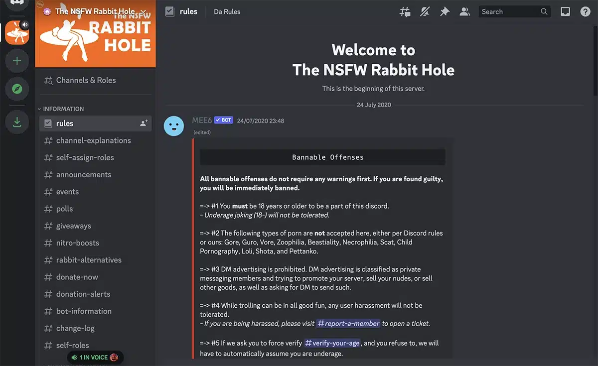 NSFW Rabbit Hole Sex Discords